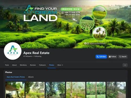 Apex Real Estate Facebook