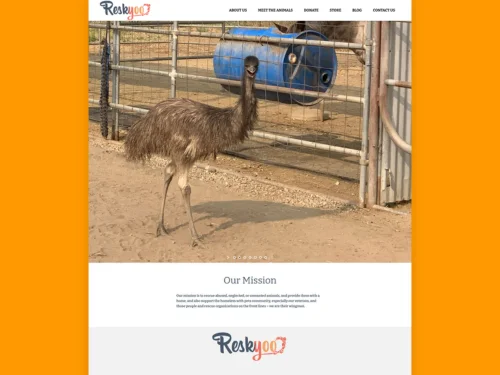 Portfolio - Reskyoo